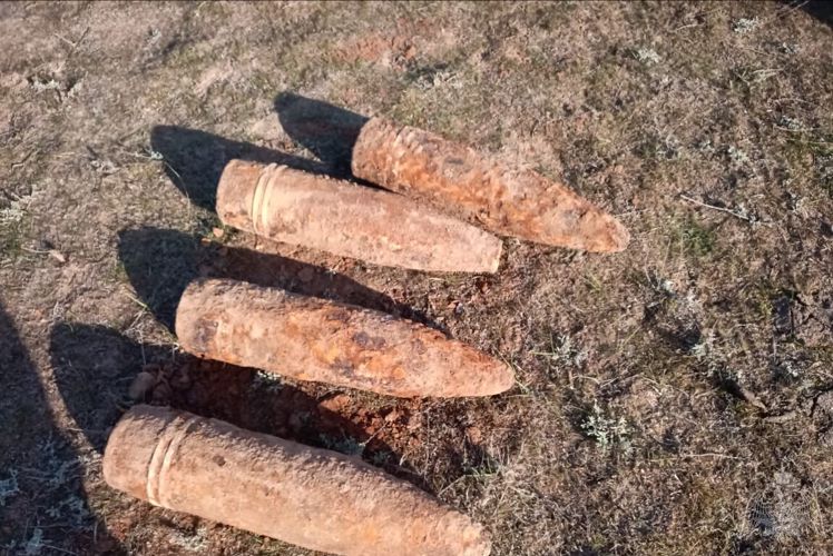 В Калмыкии сотрудники Росгвардии обследовали и уничтожили боеприпасы времен Великой Отечественной войны