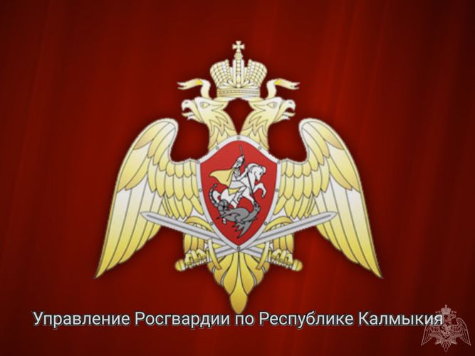 Песня "Журавли" в исполнении росгвардейца из Калмыкии