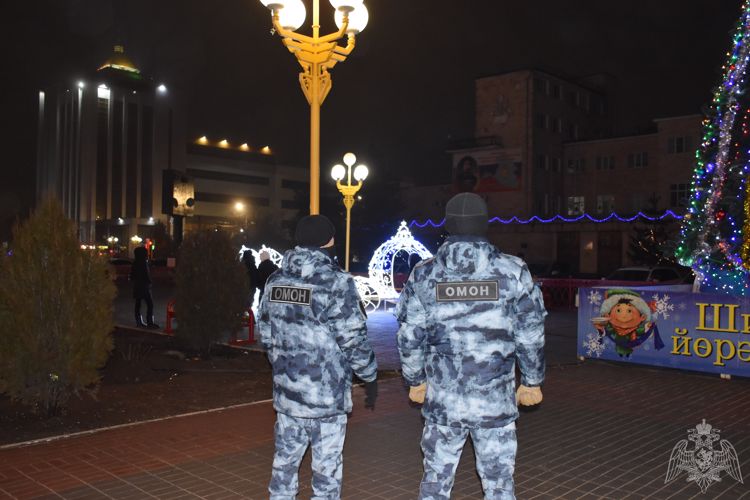 В Калмыкии Росгвардия приняла участие в обеспечении правопорядка в период встречи нового года и Рождества