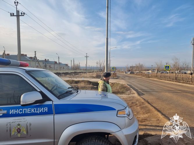 Автоинспекция Росгвардии провела профилактический рейд с водителями в Калмыкии