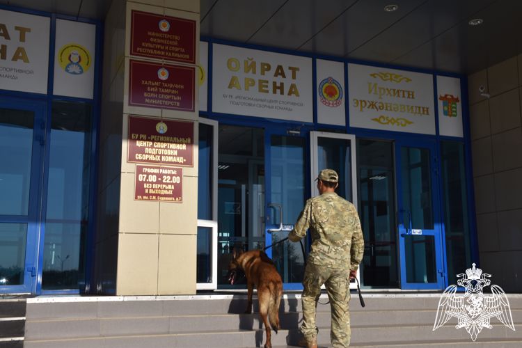 Росгвардия обеспечила безопасность международного Фестиваля единоборств в Калмыкии