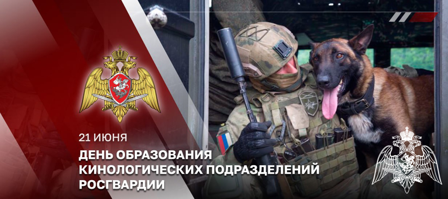 ГЕНЕРАЛ-ПОЛКОВНИК АЛЕКСЕЙ ВОРОБЬЕВ ПОЗДРАВИЛ КИНОЛОГОВ РОСГВАРДИИ С ПРОФЕССИОНАЛЬНЫМ ПРАЗДНИКОМ (ВИДЕО)