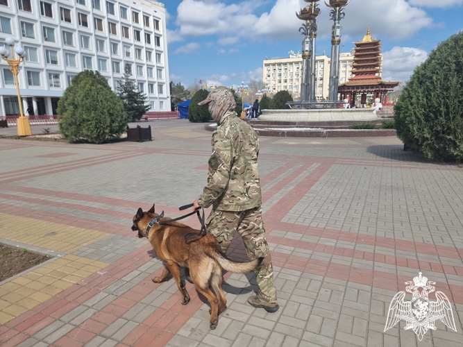 Росгвардия обеспечила безопасность на Фестивале тюльпанов в Калмыкии