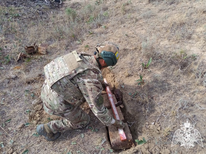 Боеприпасы времен Великой Отечественной войны уничтожили сотрудники Росгвардии в Калмыкии