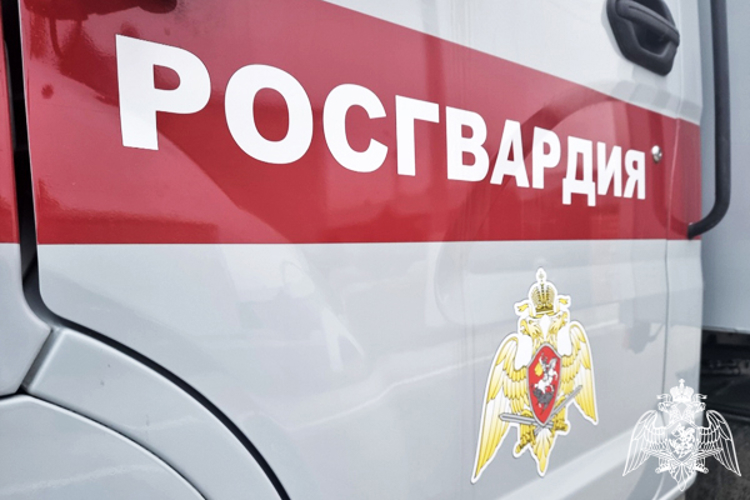 Силовую поддержку полицейским при задержании мошенников оказали калмыцкие росгвардейцы