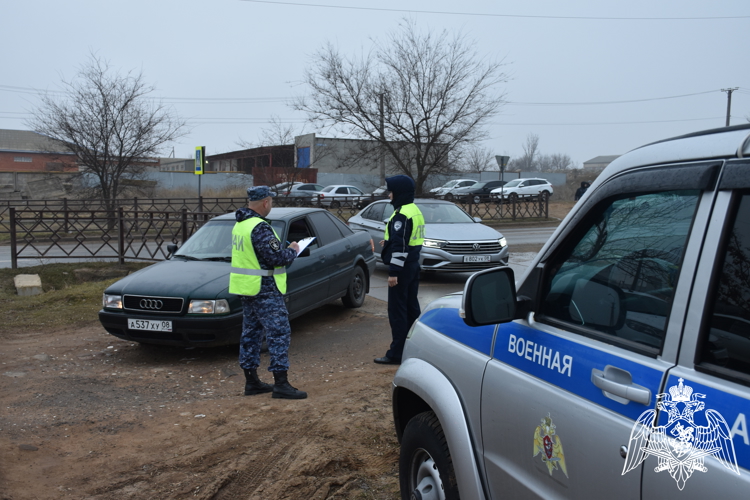 Автоинспекция Росгвардии провела профилактический рейд с водителями в Калмыкии 