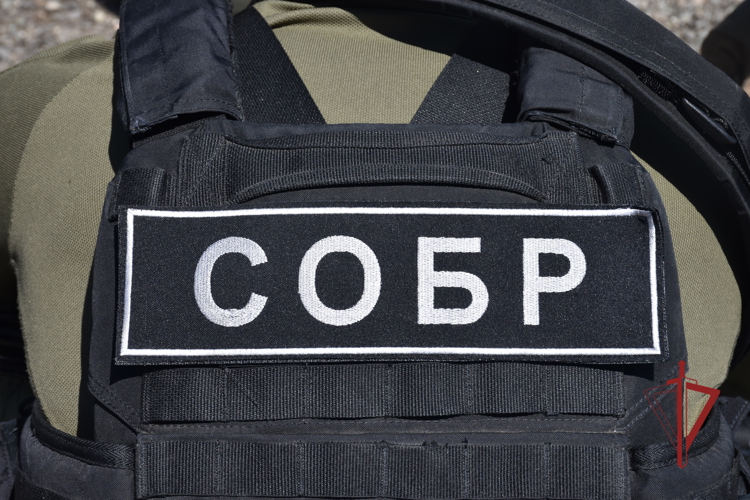 В Калмыкии при силовой поддержке спецподразделений Росгвардии задержан подозреваемый в незаконном обороте наркотиков