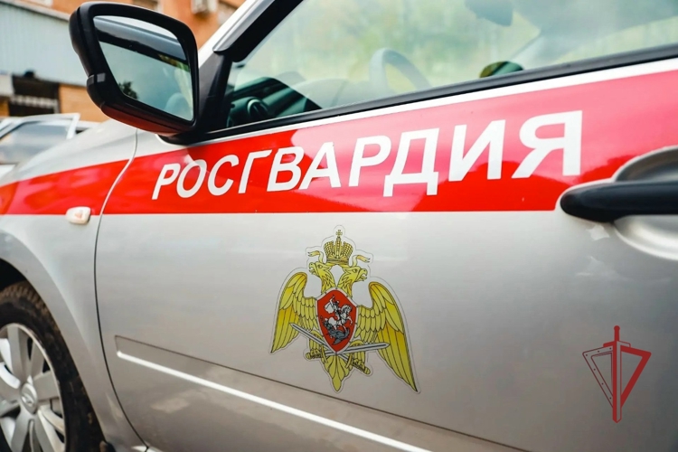 Прямая телефонная линия по вопросам трудоустройства во вневедомственную охрану Росгвардии пройдет в Калмыкии 