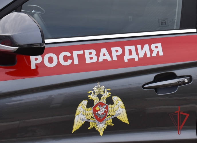 В Элисте сотрудники Росгвардии задержали подозреваемую в краже из сетевого магазина